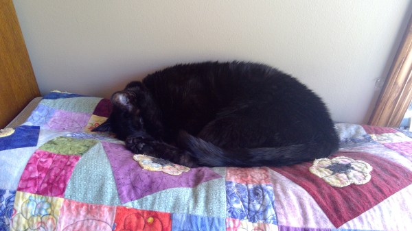 WIN_20180707_18_07_34_Pro