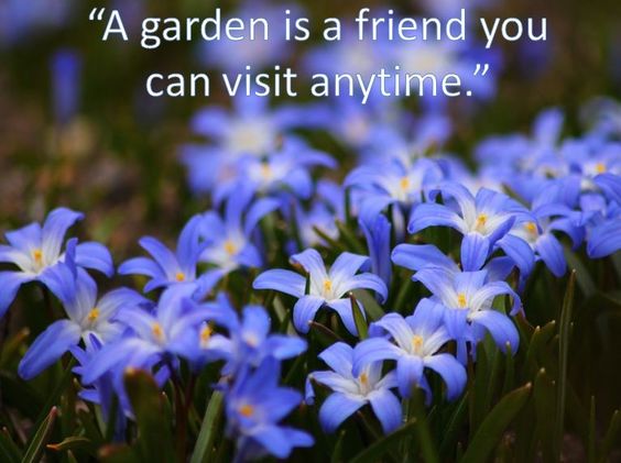 30859ed55d6bdc5b7028403f95ac7a82